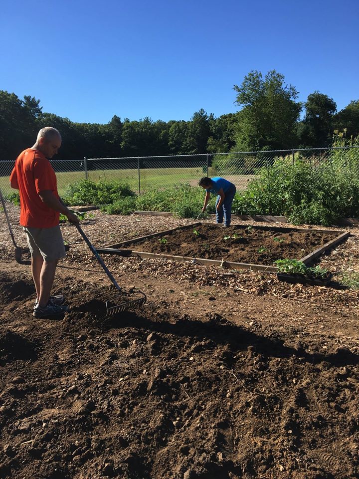 The 32 acres that once comprised the Serocki property and now belong to Holliston have been undergoing cleanup by the Holliston Community Farm board. The group put in some community garden plots this year, but the focus has been on cleanup of the property. Photo used courtesy of the Holliston Community Garden & Nature Preserve.