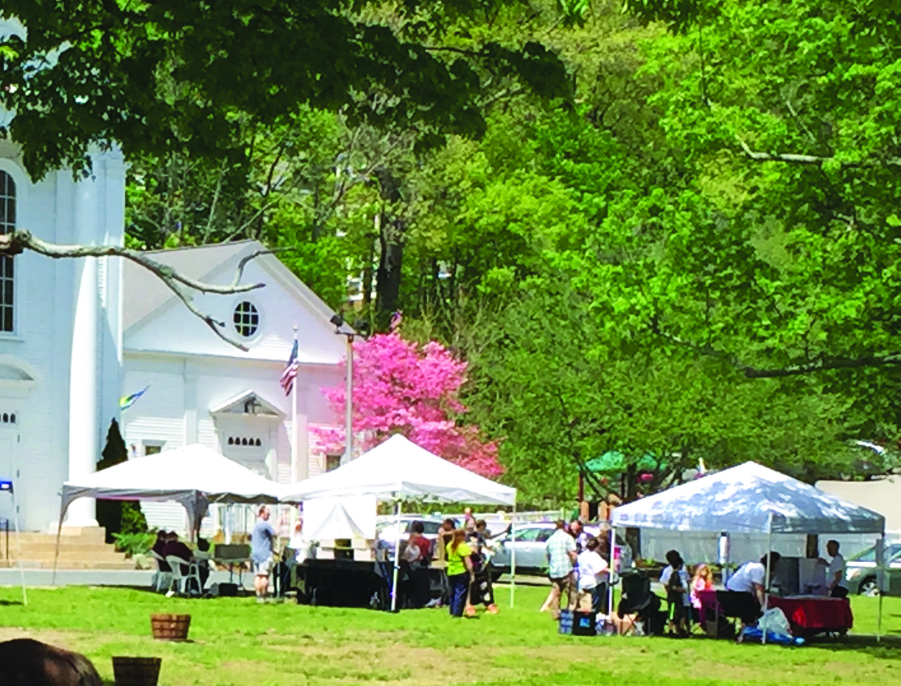 On May 20th, the Holliston Business Association will present its fifth Springfest. Among other features this year, music by Holliston High School students will be performed on the town green at the Holliston Springfest from 12-4 p.m., and they’ll be flanked by a number of the town’s local organizations and businesses. Photo by Ethan O’Gara