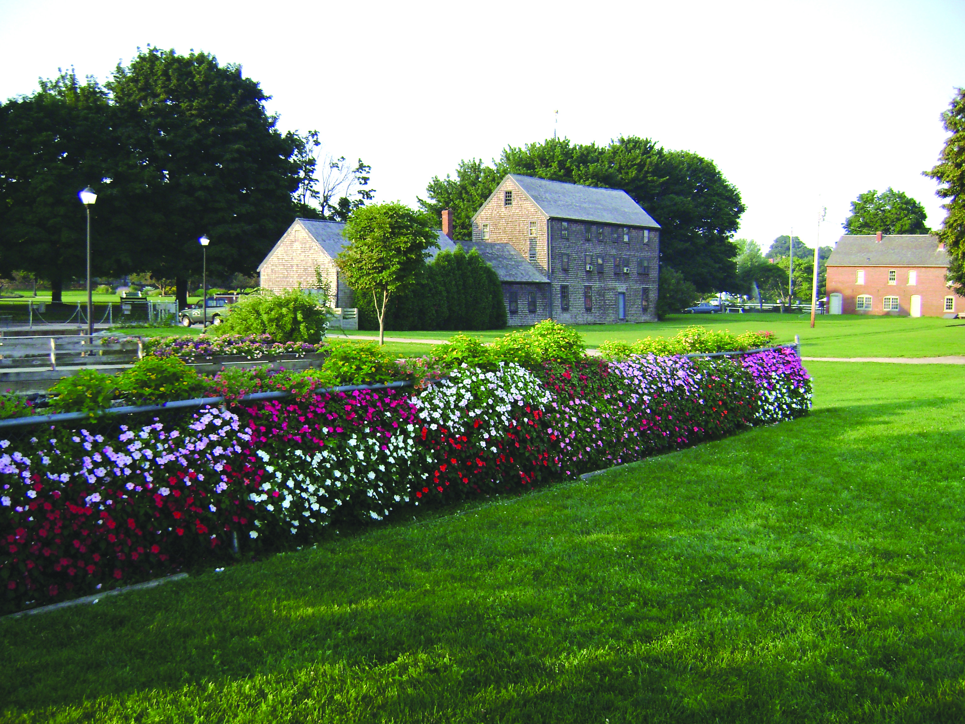 The flowering wall at Prescott Park in Portsmouth, New Hampshire, was the inspiration for Ashland’s living garden wall, which will include native plants like Trumpet vine, wild Clematis, and Virgin’s Bower (all of which attract hummingbirds), along with some deciduous shrubbery and evergreens. (Photo/submitted)