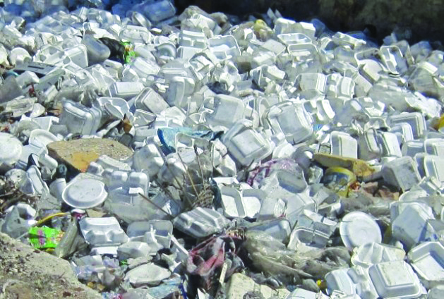 On October 27th, the Town of Natick voted to ban polystyrene, Styrofoam, from town restaurants, eateries, and schools. Restaurants can apply for a six-month waiver to use up stocks of Styrofoam.